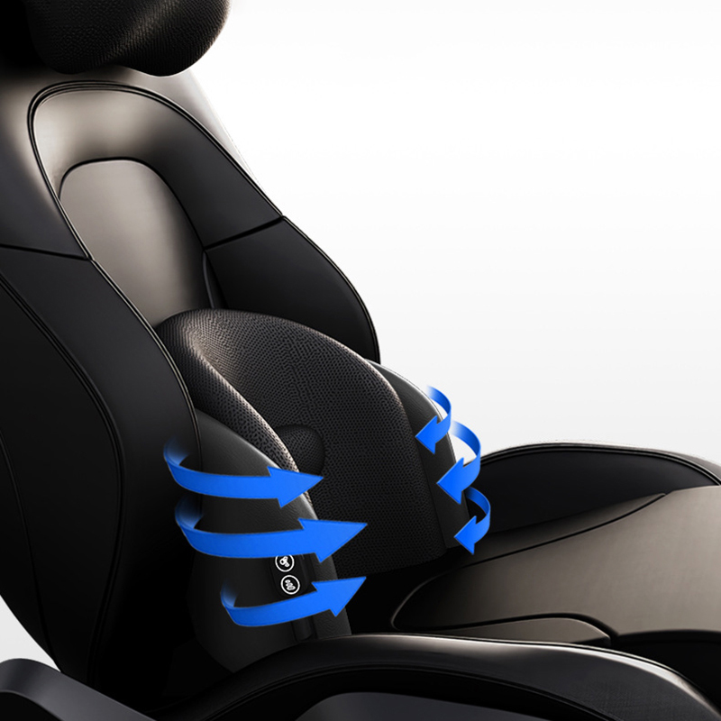 Car Massage Neck Waist Support - Travel Accessories Pillow 评论和价格